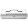 Scheda Tecnica: Epson Workforce Ds-5500 Scanner A4 Colori Piano Fisso - in