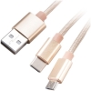 Scheda Tecnica: Akasa 2" 1 USB 2.0 Cable Typ To Micro-b And Typ C 1m - Gold