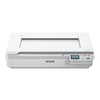 Scheda Tecnica: Epson Scanner WORKFORCE DS-50000N - 
