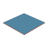 Scheda Tecnica: Thermal Grizzly Minus Pad Extreme - 100 X100 X3 Mm