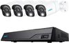 Scheda Tecnica: Reolink Kit Videosorveglianza Nvr PoE 8ch 2TB HDD E 4 - Telecamere Di Sicurezza PoE, Ps2kb02-8