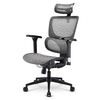Scheda Tecnica: Sharkoon Sedia Office Fabric Seat Base 4d Armrest 5 Heights - Adjustable Max Weight Capacityy 150kg