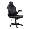 Scheda Tecnica: Trust Sedia Gaming Gxt703 Riye Nero - 