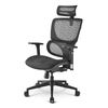 Scheda Tecnica: Sharkoon Sedia Office, Fabric Seat Base, Class-4 Gaslift - 3d Armrest Headrest, 5 Heights Adjustabl