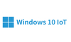 Scheda Tecnica: Advantech Win 10 Iot Ent 2021 Ltsc High End Epkea In - 