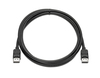 Scheda Tecnica: HP DisplayPort Cable Kit - 
