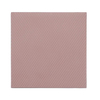 Scheda Tecnica: Thermal Grizzly Minus Pad 8 - 100x100 X 3,0 Mm - 