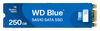 Scheda Tecnica: WD SanDisk SSD Blu SA510 Series M.2 SATA 6Gb/s - 250GB
