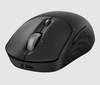 Scheda Tecnica: HP 705 Mouse Ricaricabie Senza Fii - 