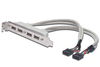 Scheda Tecnica: DIGITUS Cavo della staffa dello slot USB, 4x tipo A - 2x10pin IDC Bu/Bu, 0,25 m, compatibile USB 2.0, be