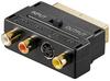 Scheda Tecnica: Goobay ADAttatore Audio - Video Scart S-VHS