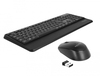 Scheda Tecnica: Delock Keyboard USB - and Mouse Set 2.4GHz wireless black (Wrist Rest)