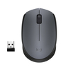 Scheda Tecnica: Logitech M170 senza fili 2.4 GHz ricevitore wireless - USB