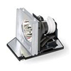 Scheda Tecnica: Acer Projector Lamp F/ X1211k - 