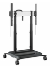 Scheda Tecnica: Optoma RISE 5308 Motorized Display ift Troey 80 B Eu - 