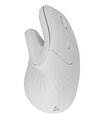 Scheda Tecnica: SBOX Mouse Verticale Ottico Ergonomico Wireless Bianco - Vm-838w-w